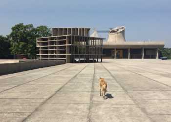 Der Dokumentarfilm „Kraft der Utopie – Leben mit Le Corbusier in Chandigarh“ zeigt wie die städtebaulichen und gesellschaftlichen Visionen aus der Moderne Realität geworden sind und wie sie sich im Verlauf der Geschichte entwickelt haben. Copyright: Polyfilm Verleih